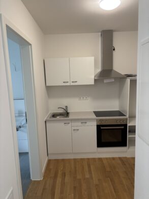 Neubau 1-Zimmer-Wohnung mit Terrasse zu vermieten, 16816 Neuruppin, Erdgeschosswohnung