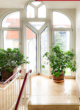 Klein aber fein – hübsche 1-Zimmer-Wohnung mit 40 qm in Dresden-Mickten - Bildschirmfoto 2026-05-18 um 09.10.20